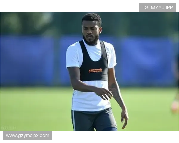 武汉网球队挑战赛个人能力分析与表现评估