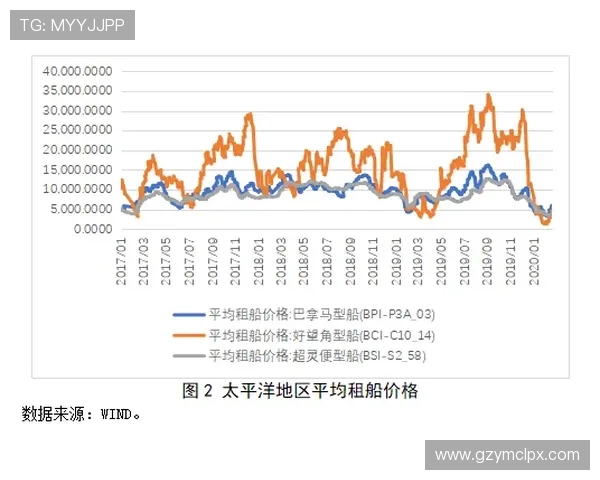 南京羽毛球队在钻石联赛中的技术表现分析与未来展望