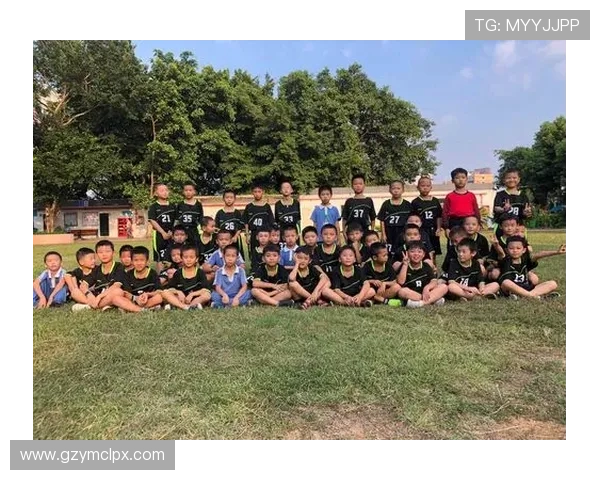 纹龙足球明星的传奇之路与荣耀时刻揭秘