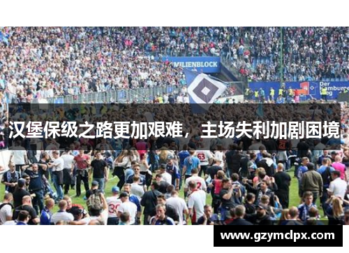 汉堡保级之路更加艰难，主场失利加剧困境